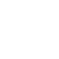 euro